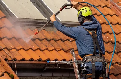 Démoussage et hydrofuge de toiture à Blandas